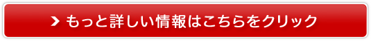 �l�X�J�t�F�@�h���`�F�Q�X�g�@�̔��T�C�g��